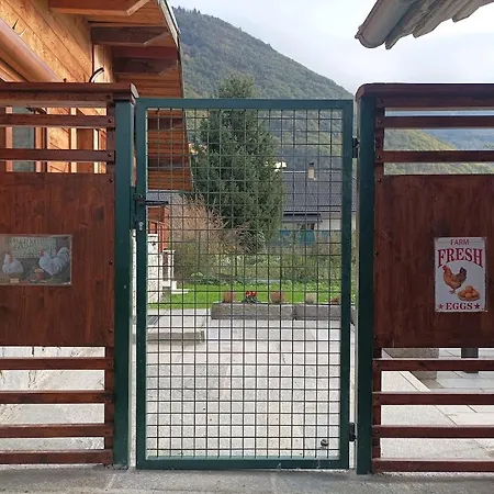 Joli Terrasse Et Jardinet *